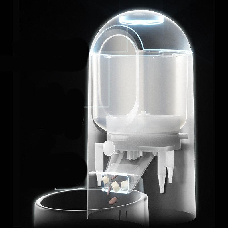 Intellifeed: Smart Stainless Steel Cat Feeder With App Control by Dog Hugs Cat