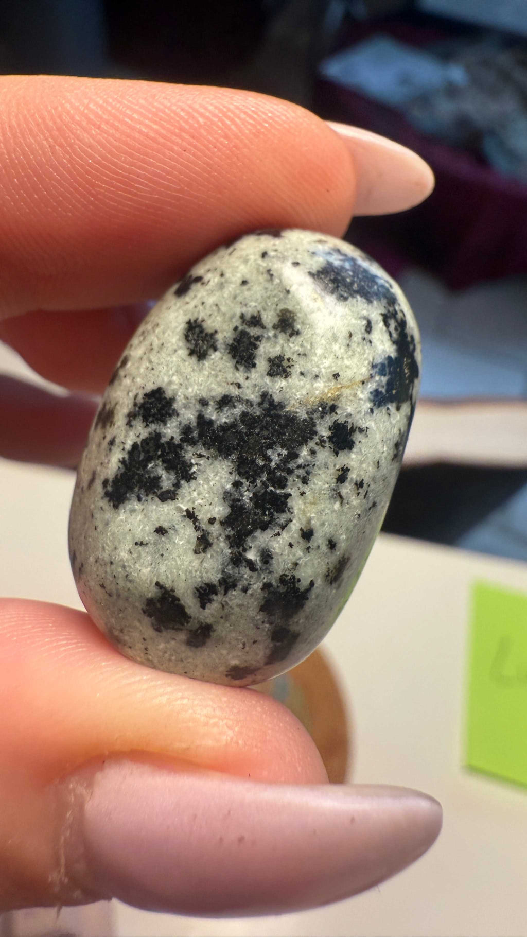 Greta Gabbro Tumbled Stone by Sacred Crystals