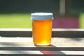 Raw Wildflower Honey 8 oz. by Scott Honey Farms & Organics
