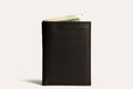 Slimfold Passcase Wallet by Pink Lucy