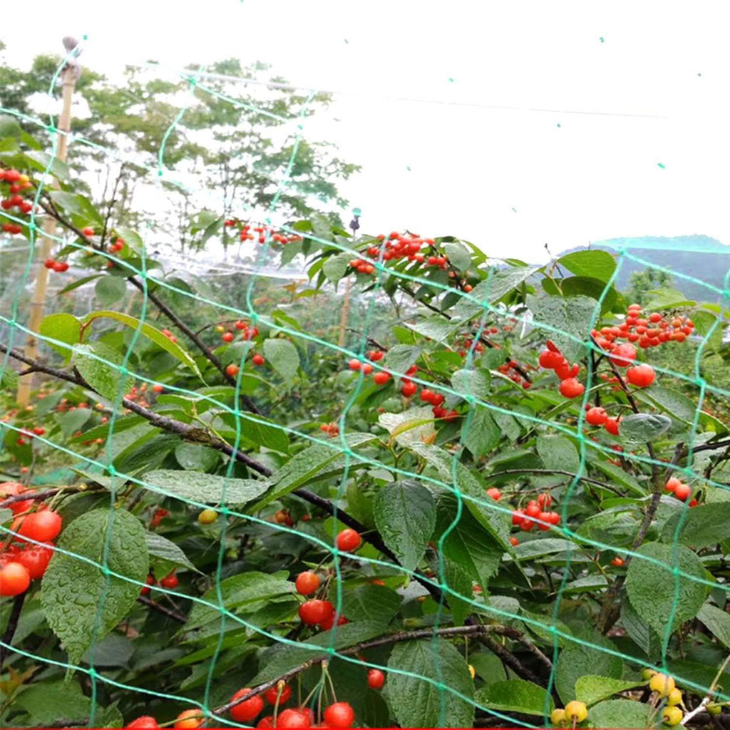 13 x 33 Ft. Garden Net by DailySale