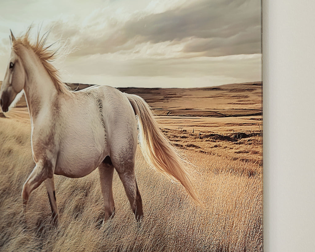 Errolville - Wall Art - Multi by Unique Piece Furniture