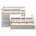 Loft Bunk Bed With Drawers And Ladder by Unique Piece Furniture