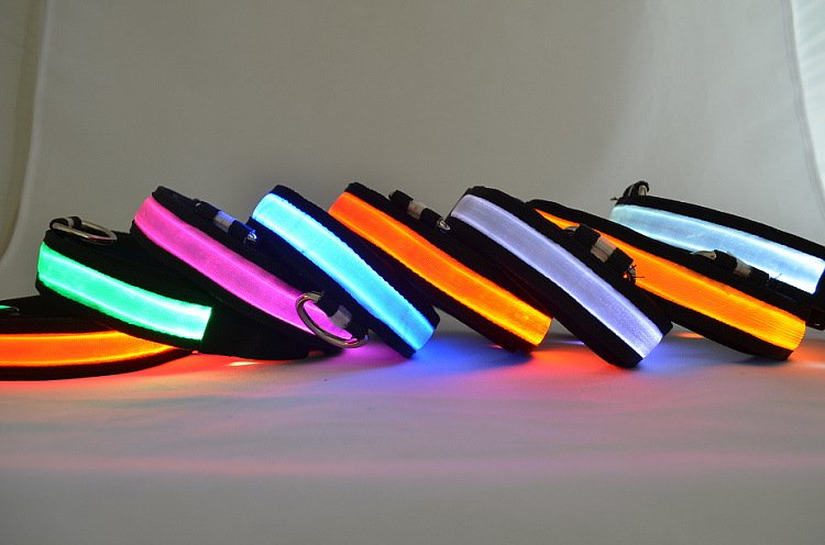LED Light Up Dog Collar by Fuchsia Molly