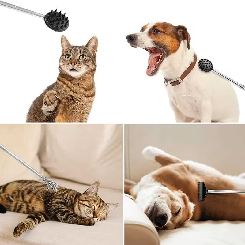 Retractable Cactus Back Scratcher – Long Handle, Durable PVC by DailySale