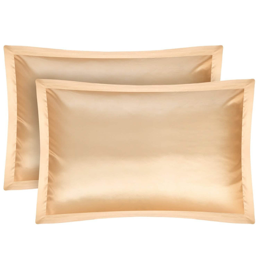 2-Pack: Soft Silky Satin Pillow Case by DailySale