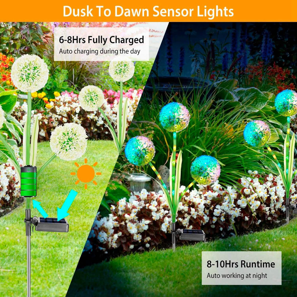 2-Piece: 36 LED Dandelion Solar Lights by DailySale