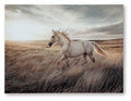 Errolville - Wall Art - Multi by Unique Piece Furniture