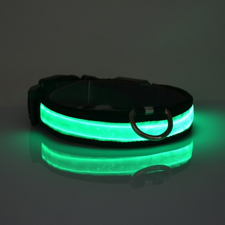 LED Light Up Dog Collar by Fuchsia Molly