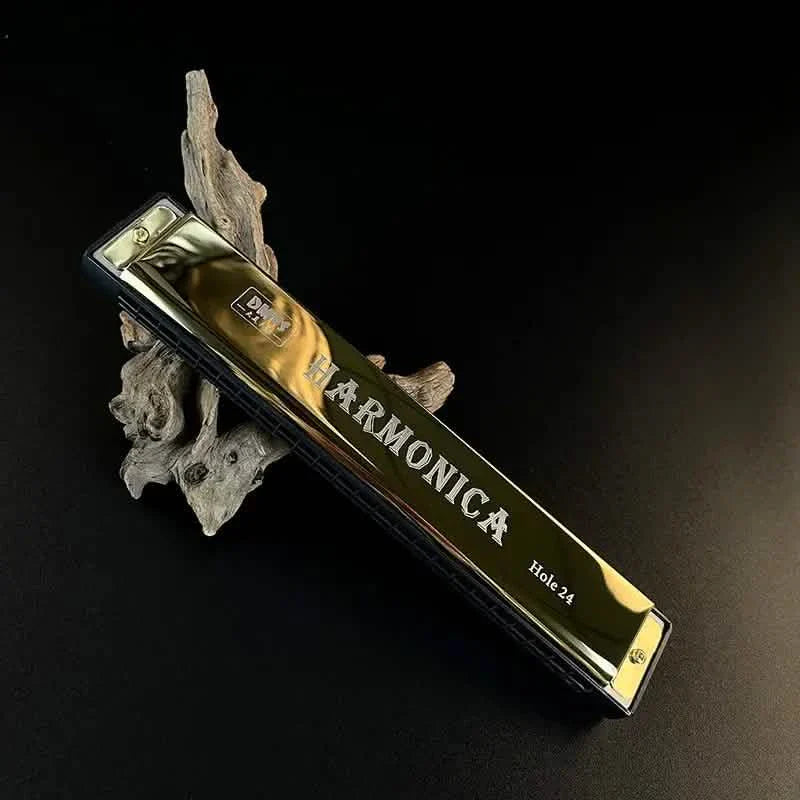 24 Hole Harmonica Mouth Metal Organ by DailySale