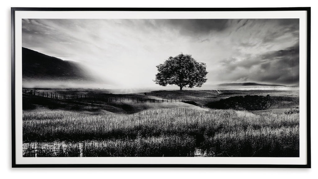 Deborland - Wall Art - Black / White by Unique Piece Furniture