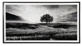 Deborland - Wall Art - Black / White by Unique Piece Furniture