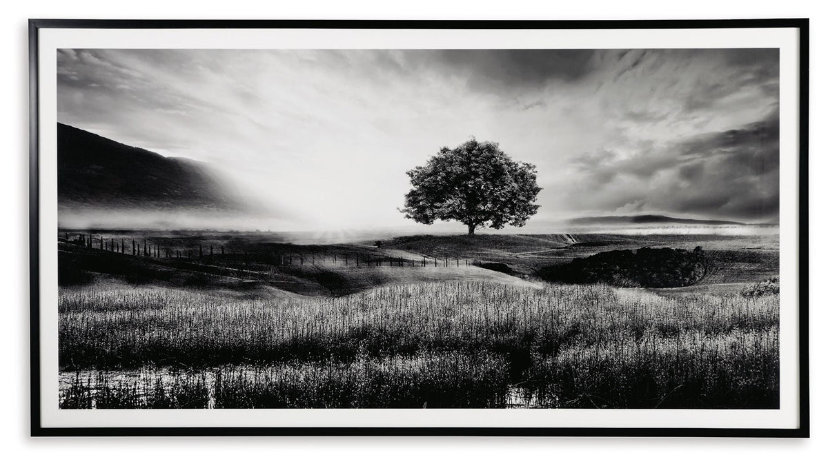 Deborland - Wall Art - Black / White by Unique Piece Furniture
