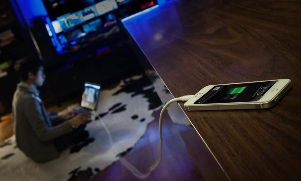 10ft Apple-Certified Lightning Cable by DailySale