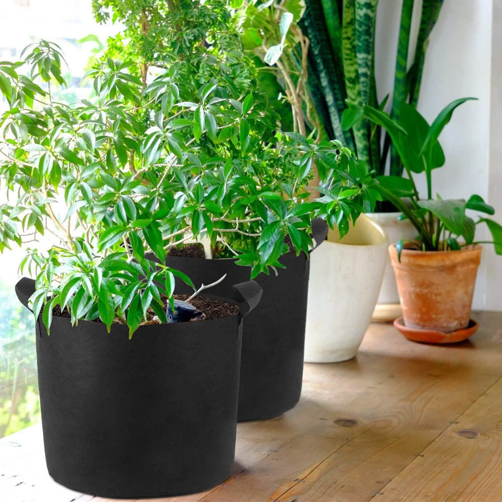3-Pack: Planter Bags Breathable Planting Fabric Pots with Harvest Window by DailySale