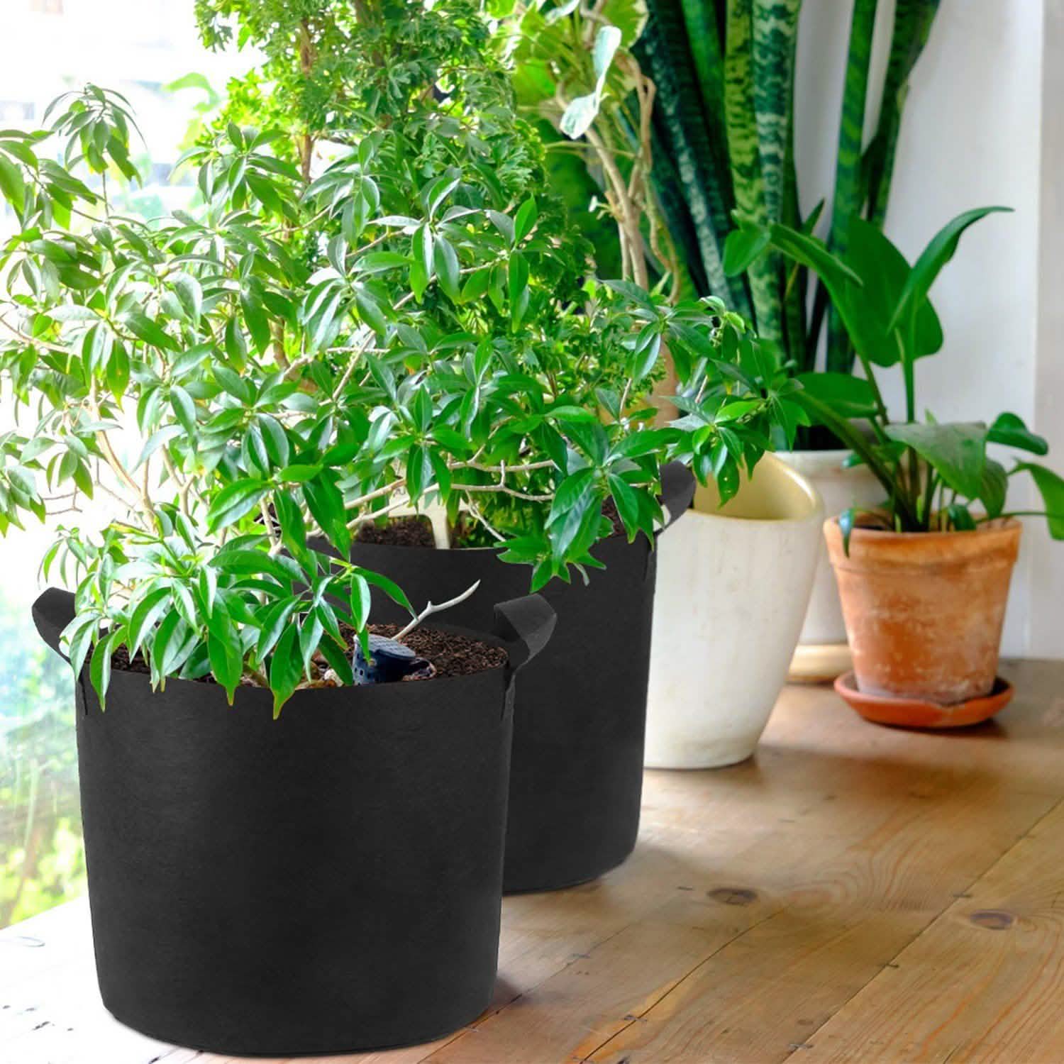 3-Pack: Planter Bags Breathable Planting Fabric Pots with Harvest Window by DailySale