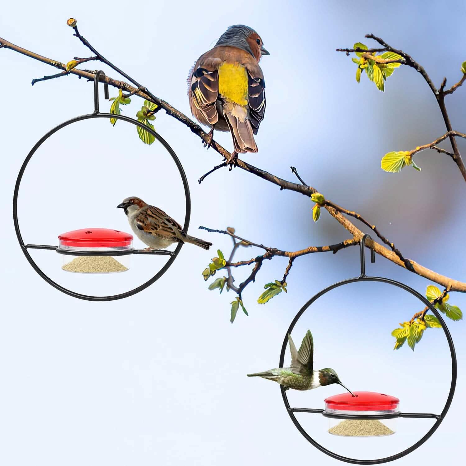 3-Pieces: Stackable Hanging Humming Bird Feeder with Metal Frame & Red Plastic Bowl by DailySale