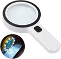 30X Handheld Large Magnifying Glass 12 LED Illuminated Lighted Magnifier by DailySale