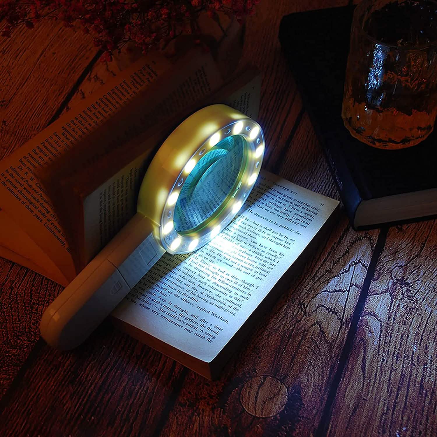 30X Handheld Large Magnifying Glass 12 LED Illuminated Lighted Magnifier by DailySale