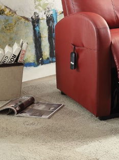 Ricardo - Power Motion Recliner With Lift by Unique Piece Furniture