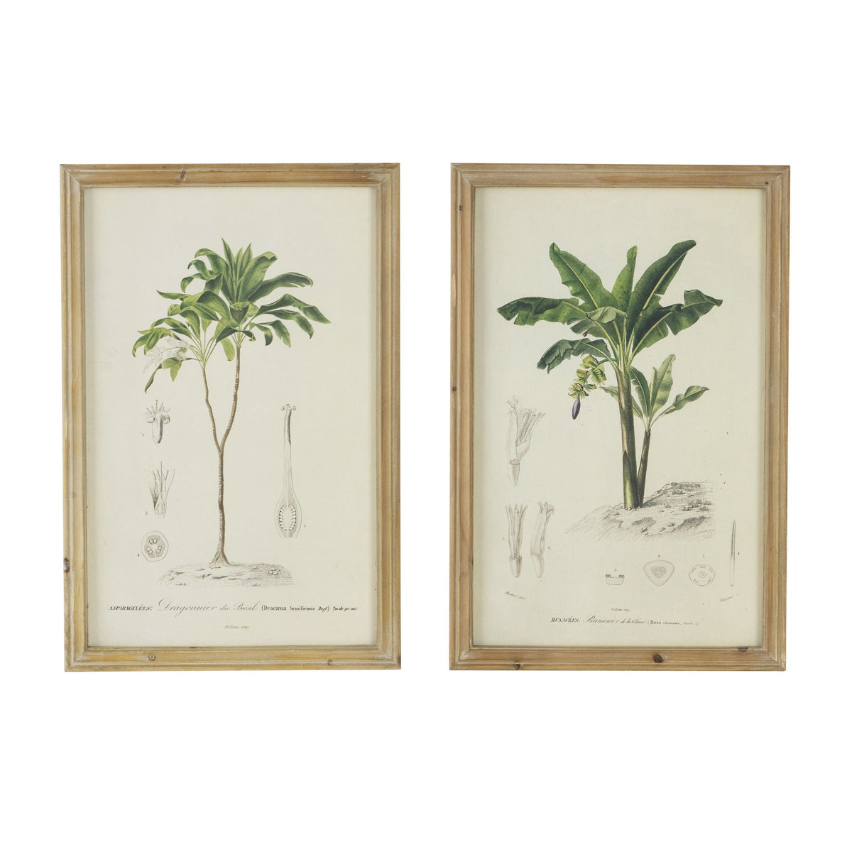 Tree Framed Print (Set of 2) - Multicolor by Unique Piece Furniture