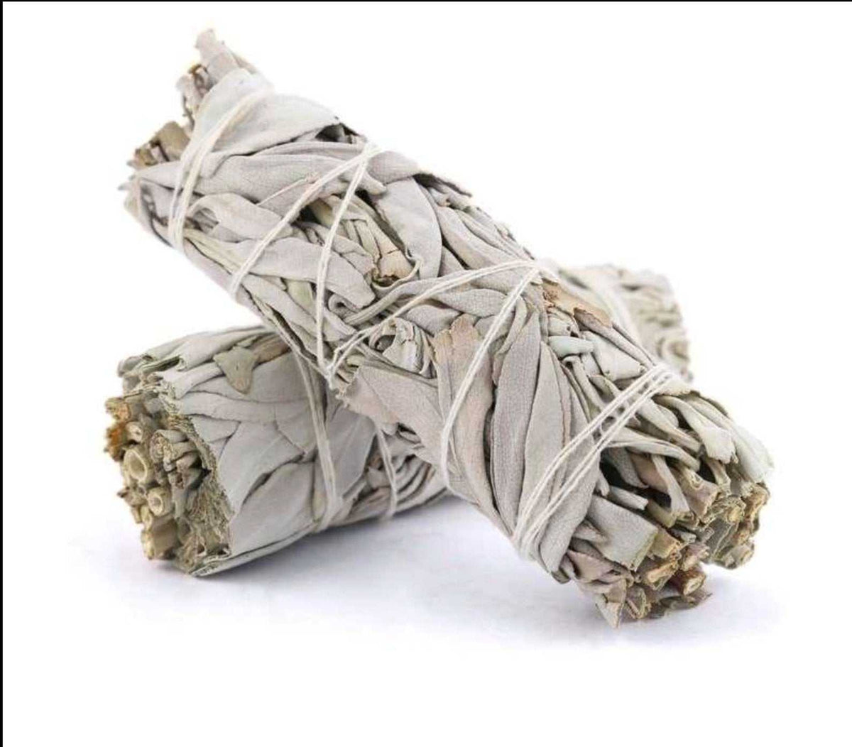 White Sage Smudge Stick (4 in.) by Sacred Crystals