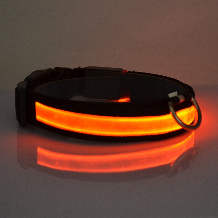 LED Light Up Dog Collar by Fuchsia Molly