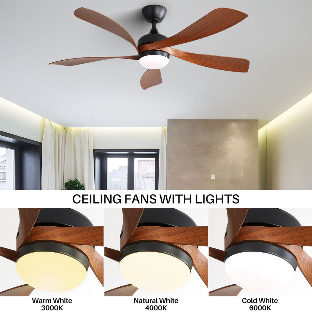 Ceiling Fan & DC Motor And Integrated Light by Unique Piece Furniture