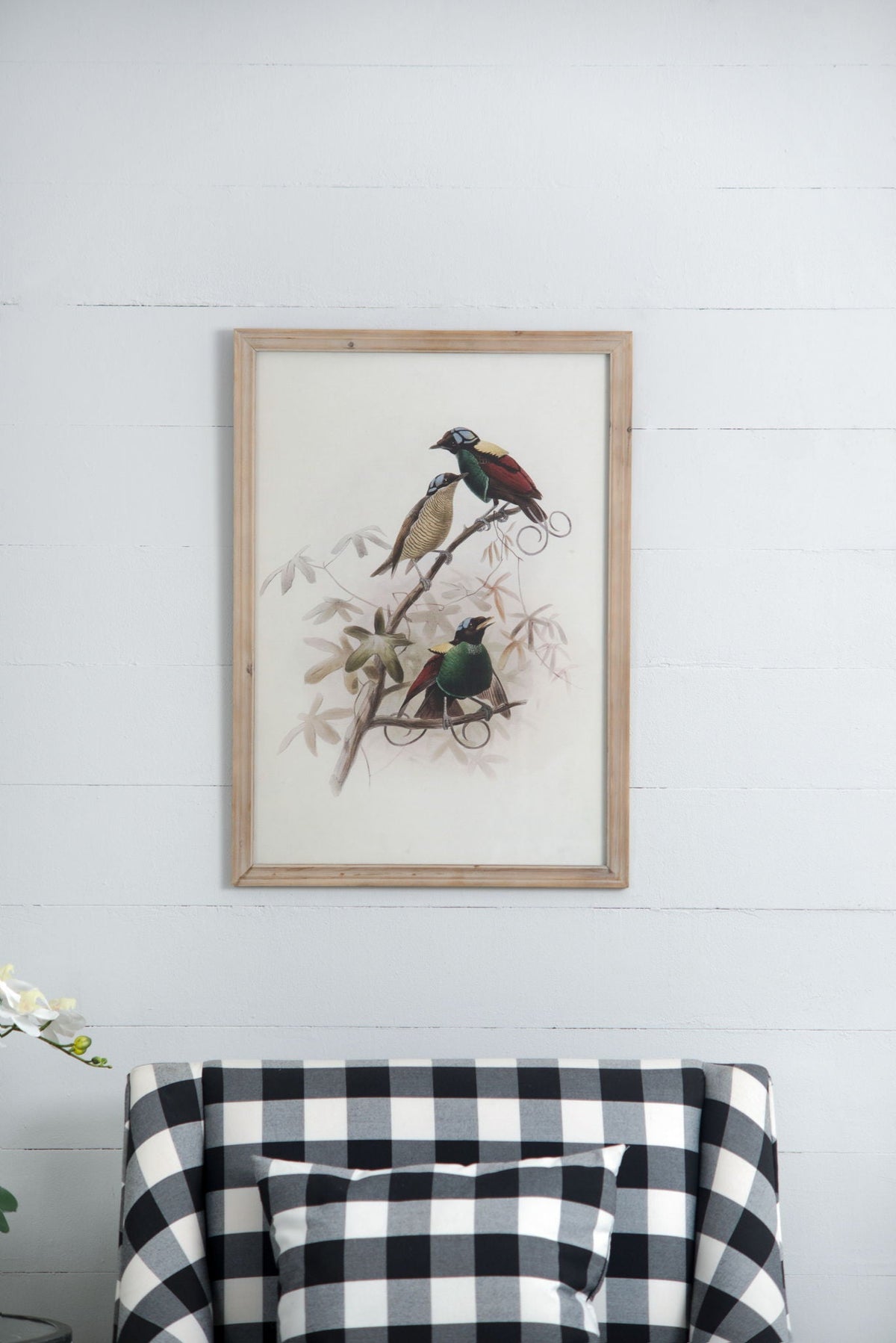 Bird Framed Print (Set of 2) - Multicolor by Unique Piece Furniture