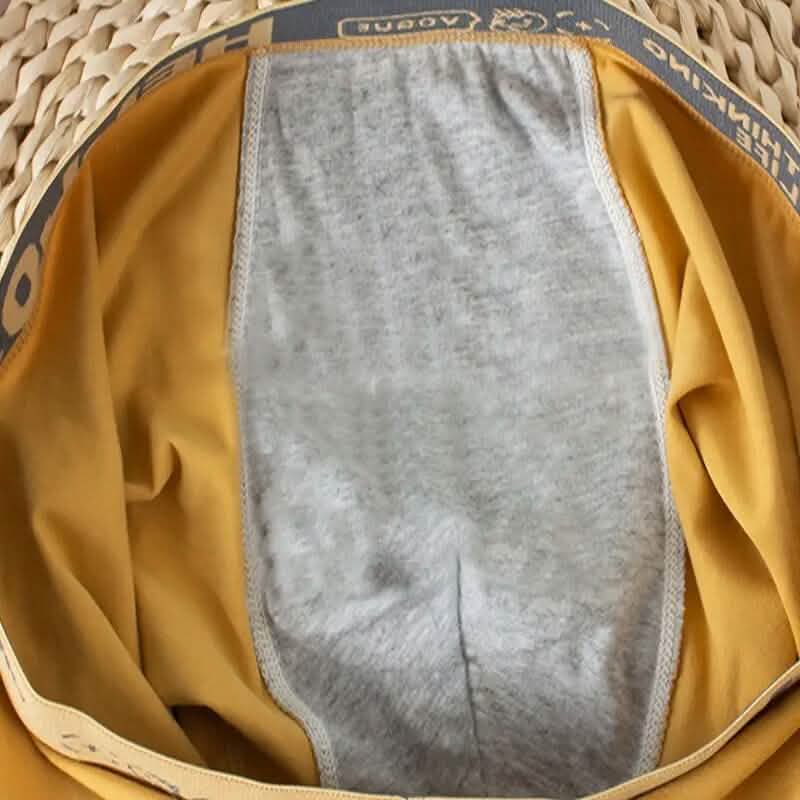 5-Pack: Plus Size Men's Boxer Briefs by DailySale
