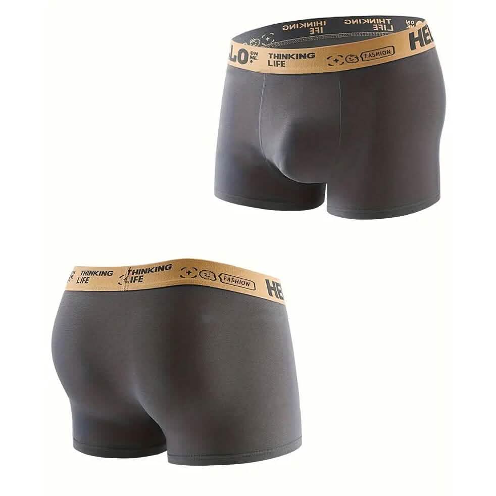 5-Pack: Plus Size Men's Boxer Briefs by DailySale