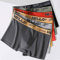 5-Pack: Plus Size Men's Boxer Briefs by DailySale