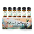 6-Piece: Island Gateway Pure Aromatherapy Essential Oil Set by DailySale