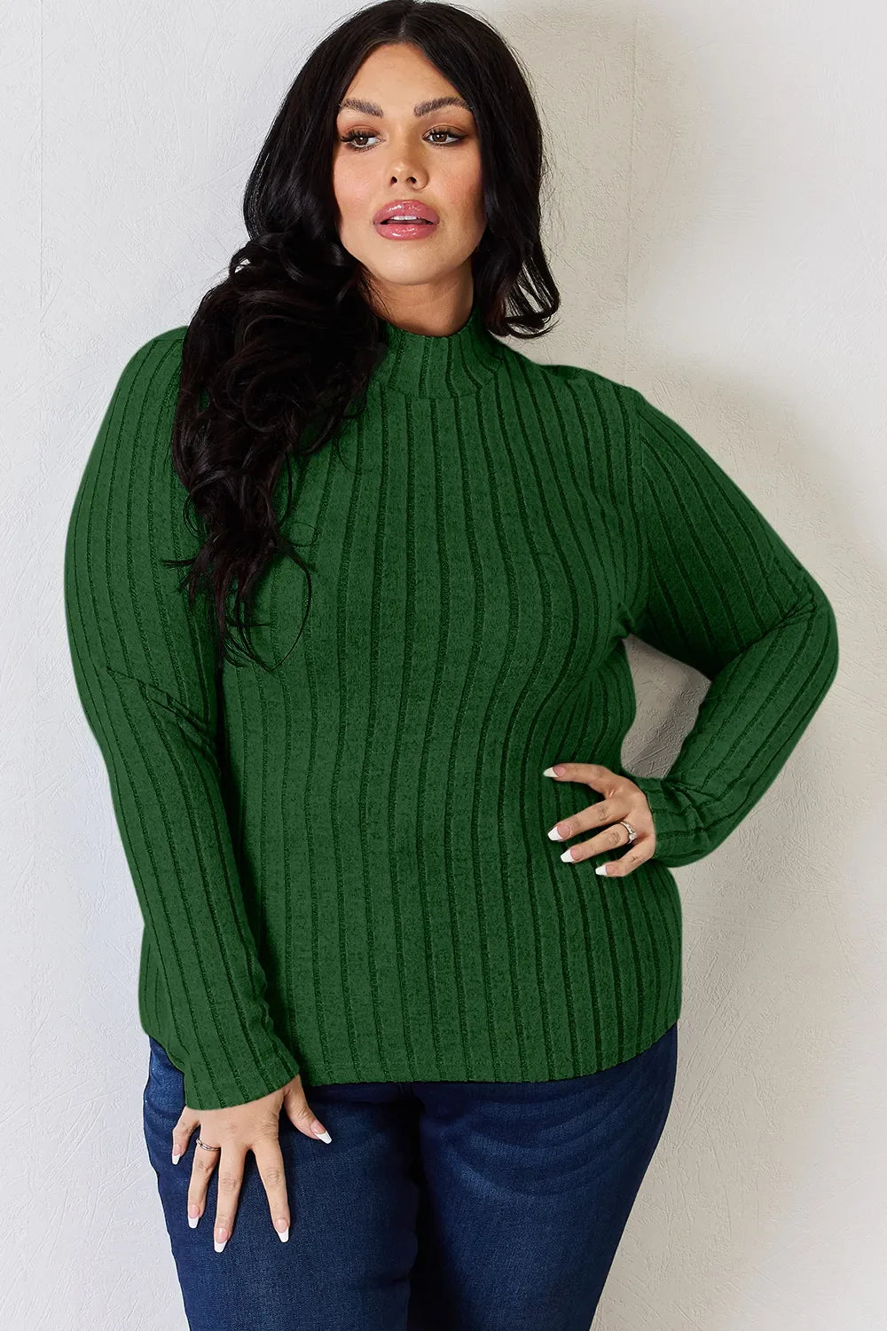 Basic Bae Full Size Ribbed Mock Neck Long Sleeve T-Shirt by Wild and Free Boutique