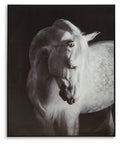 Archerwick - Wall Art - Black / White by Unique Piece Furniture