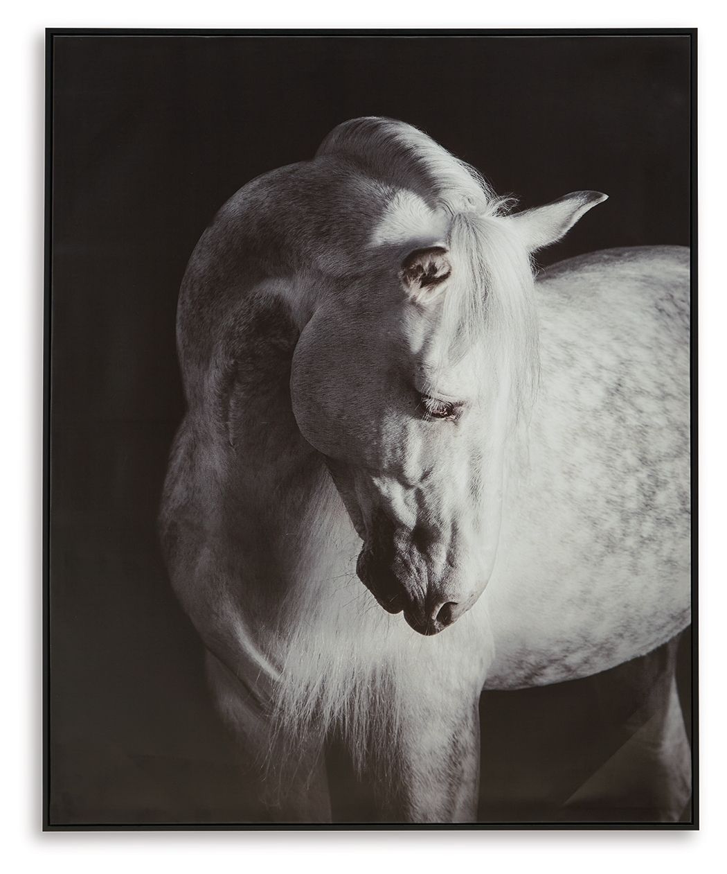 Archerwick - Wall Art - Black / White by Unique Piece Furniture