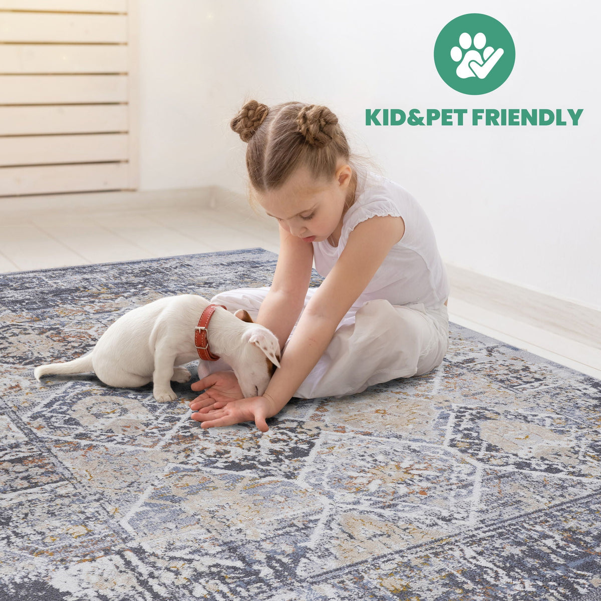 Payas - Traditional Area Rug by Unique Piece Furniture