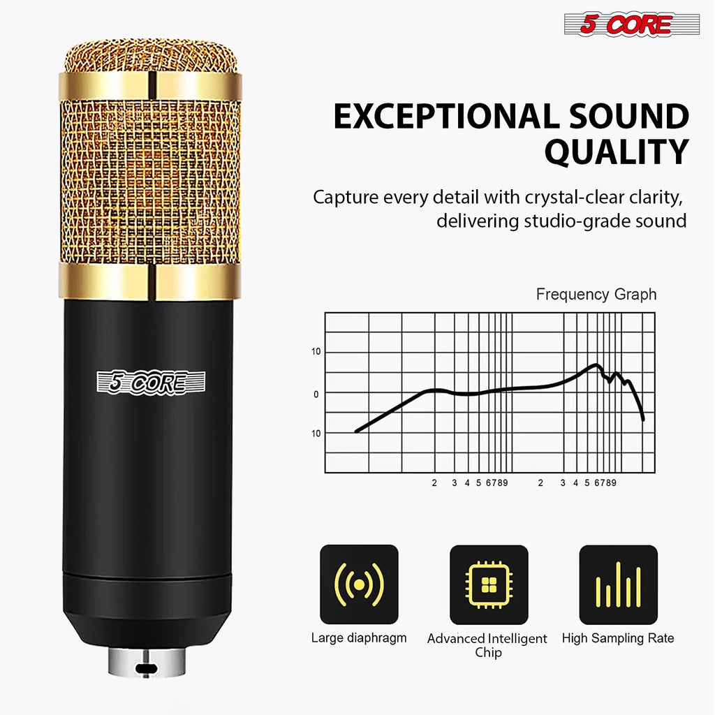 5 Core Recording Microphone Podcast Bundle Professional Condenser Cardioid Mic Kit w Boom Arm RM 8 BG by FLIPSTYLEZLLC