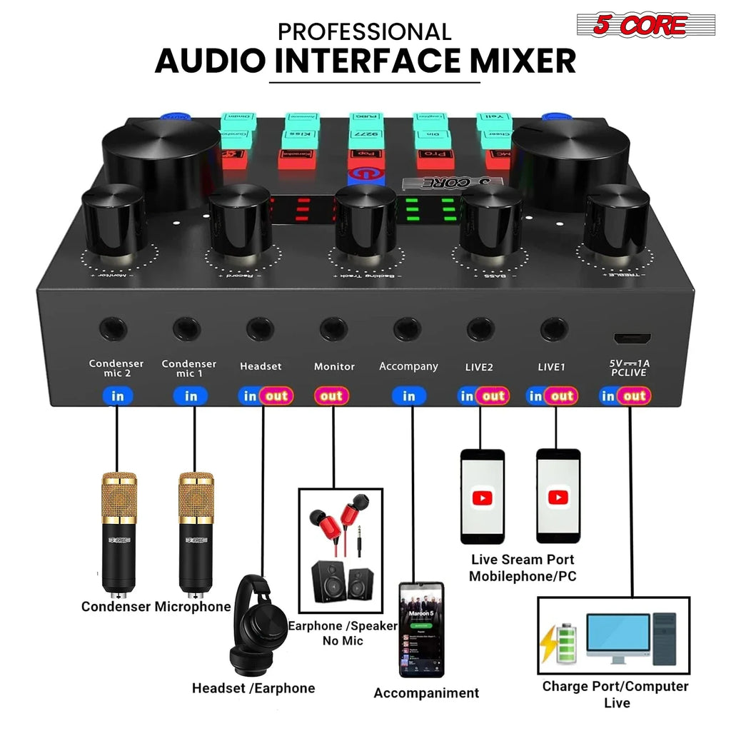 5 Core Recording Microphone Podcast Bundle Professional Condenser Cardioid Mic Kit w Boom Arm RM 8 BG by FLIPSTYLEZLLC
