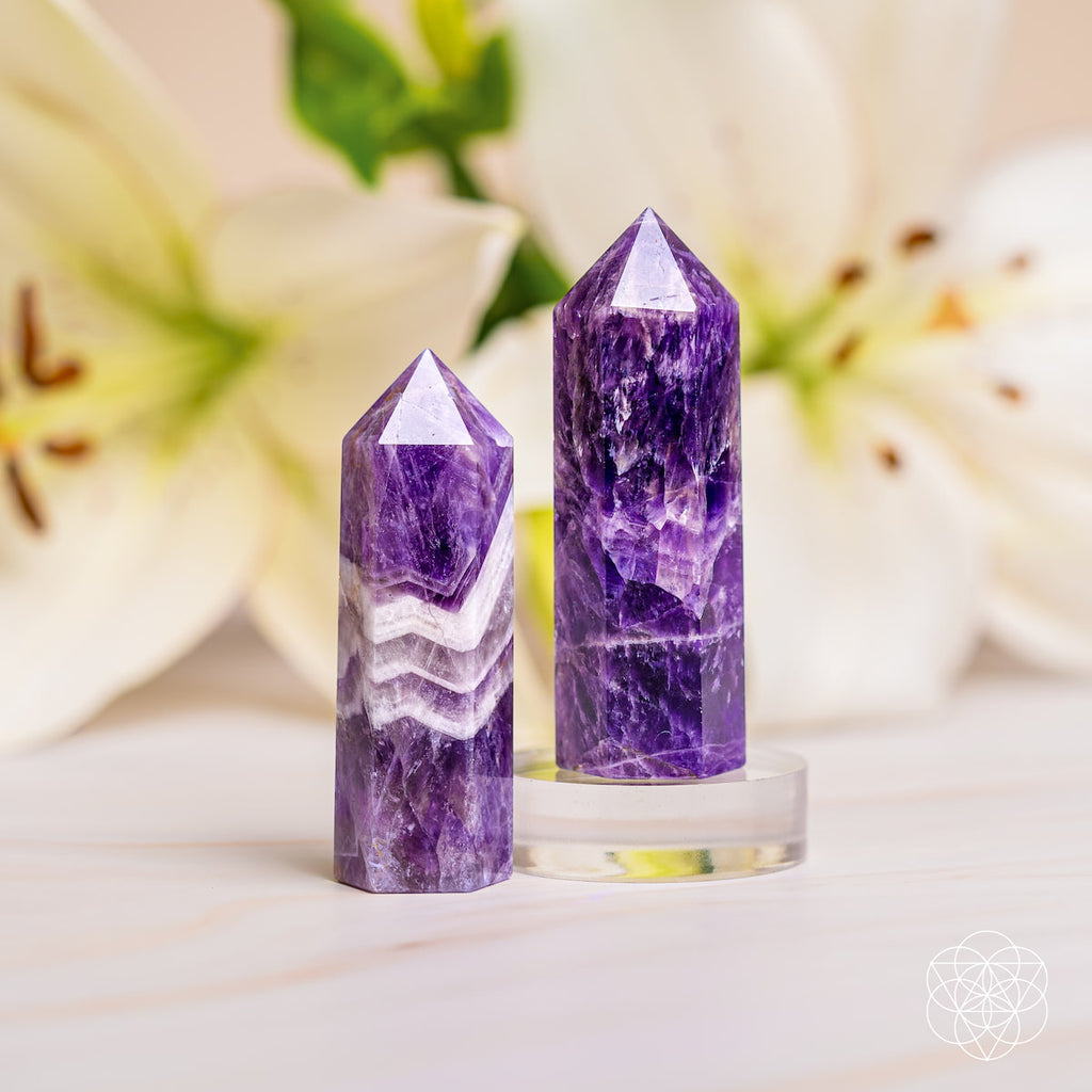 Cycle Breaker - Chevron Amethyst Point of Transformation by Conscious Items