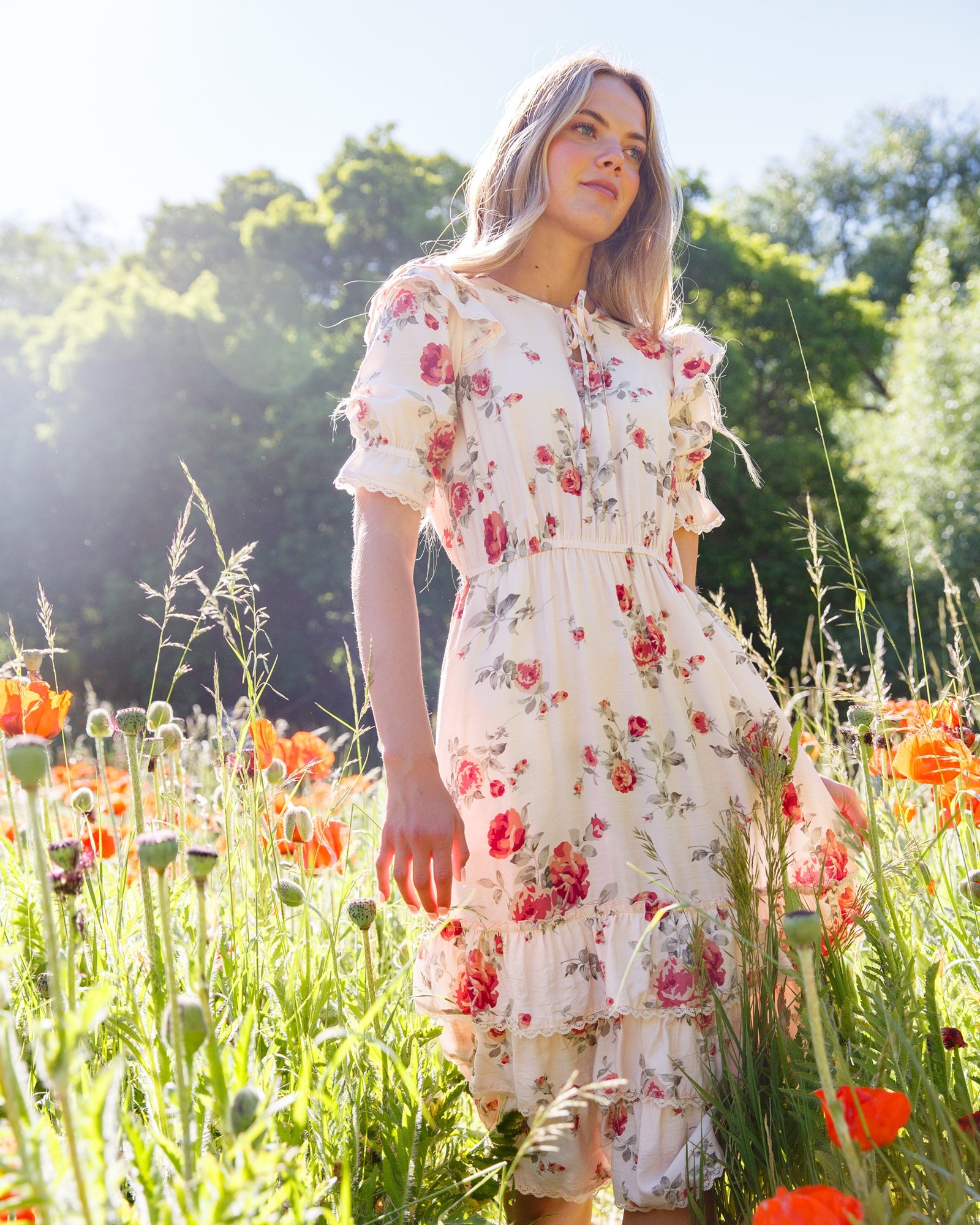 Vintage Romance Dress by Downeast