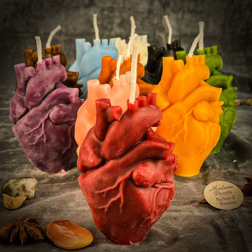Beeswax Anatomical Heart Spell Candle - Love & Emotional Healing Magic by Parlour of Wonders