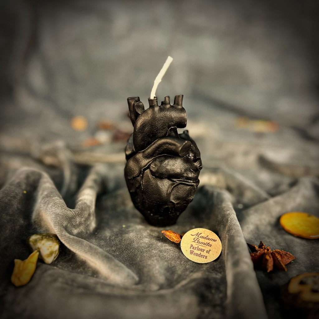 Beeswax Anatomical Heart Spell Candle - Love & Emotional Healing Magic by Parlour of Wonders