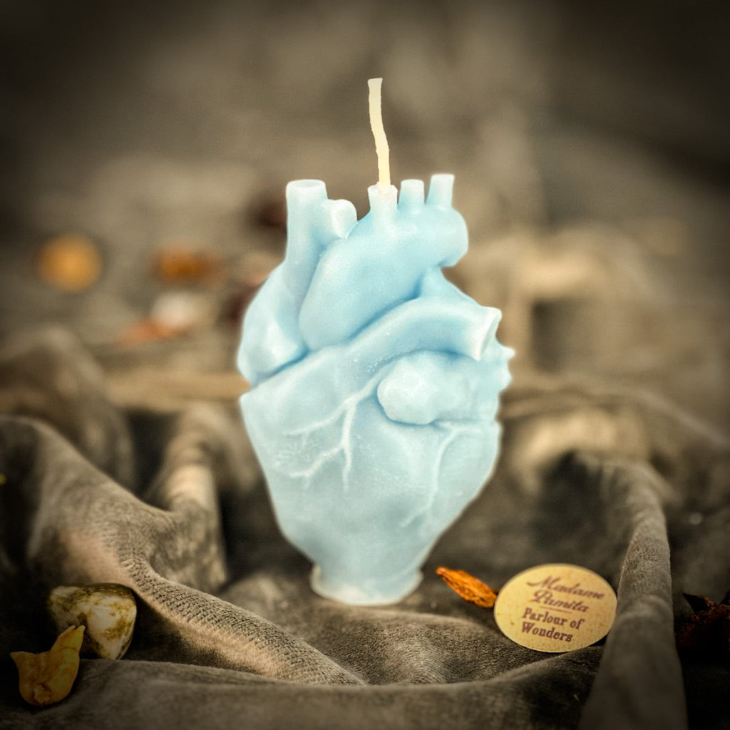 Beeswax Anatomical Heart Spell Candle - Love & Emotional Healing Magic by Parlour of Wonders