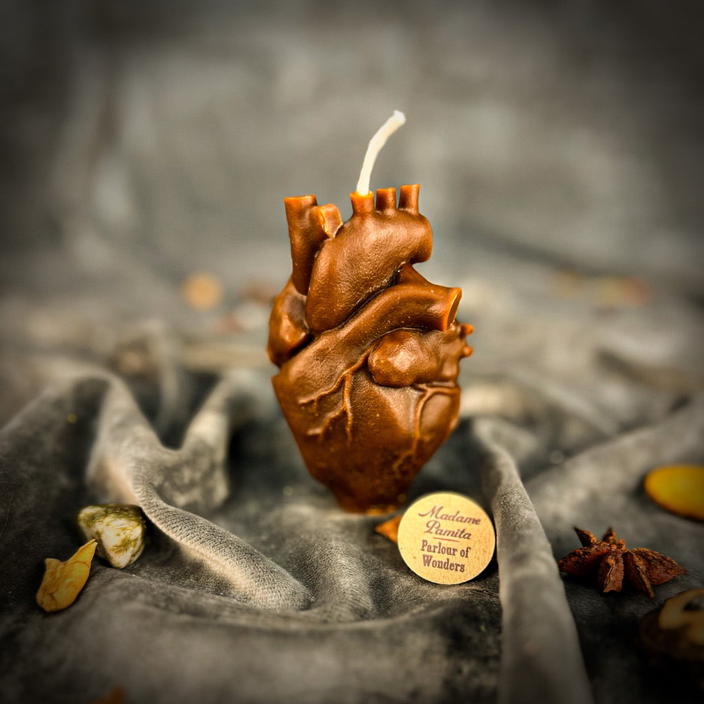 Beeswax Anatomical Heart Spell Candle - Love & Emotional Healing Magic by Parlour of Wonders