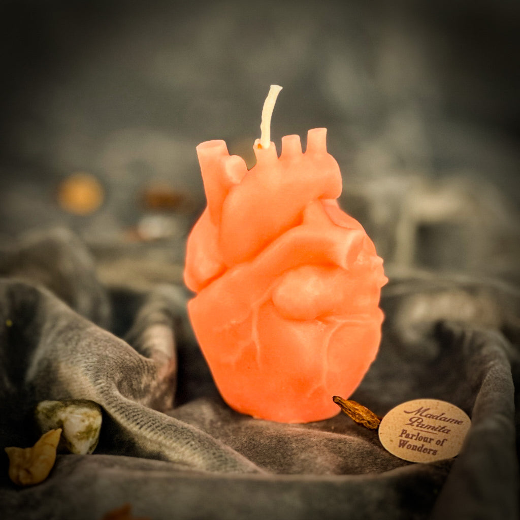Beeswax Anatomical Heart Spell Candle - Love & Emotional Healing Magic by Parlour of Wonders
