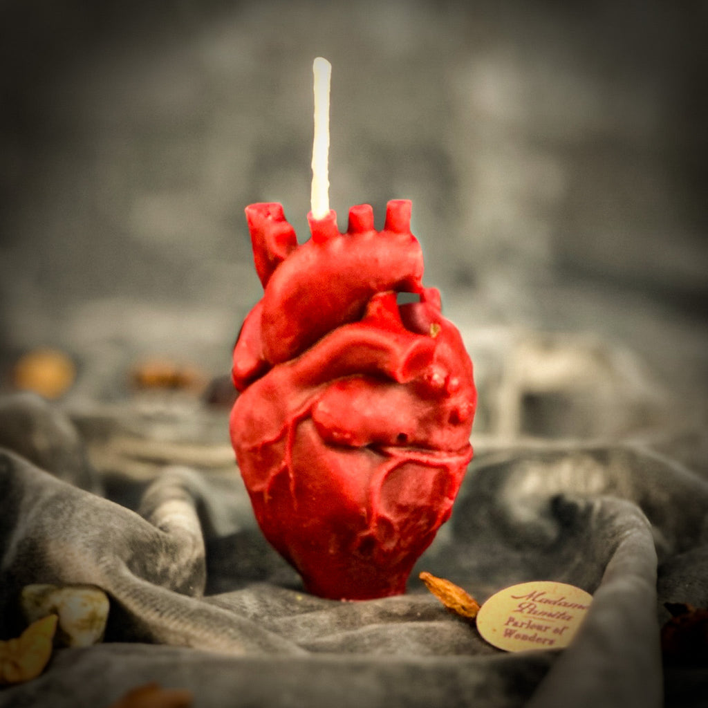 Beeswax Anatomical Heart Spell Candle - Love & Emotional Healing Magic by Parlour of Wonders