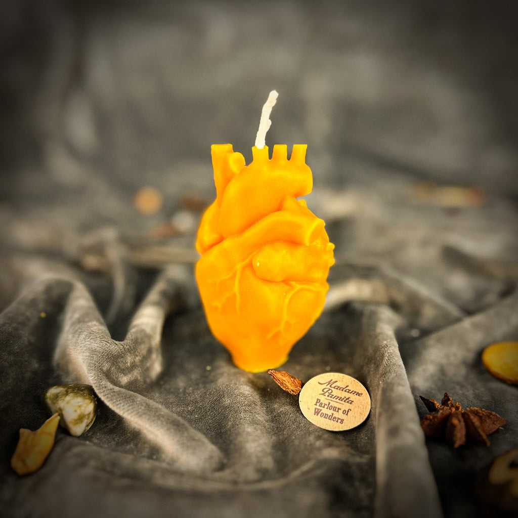 Beeswax Anatomical Heart Spell Candle - Love & Emotional Healing Magic by Parlour of Wonders