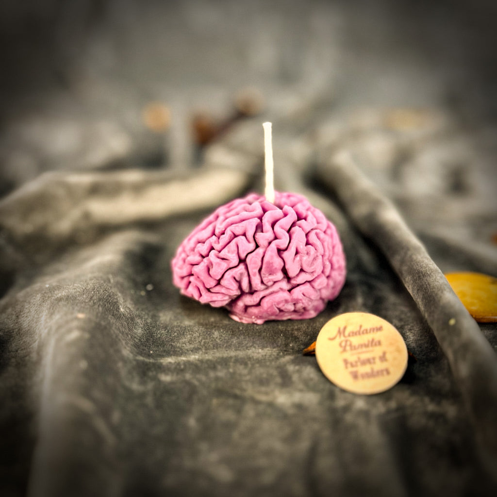 Brilliant Brain Candle Spell Kit - Mental Clarity & Focus by Parlour of Wonders