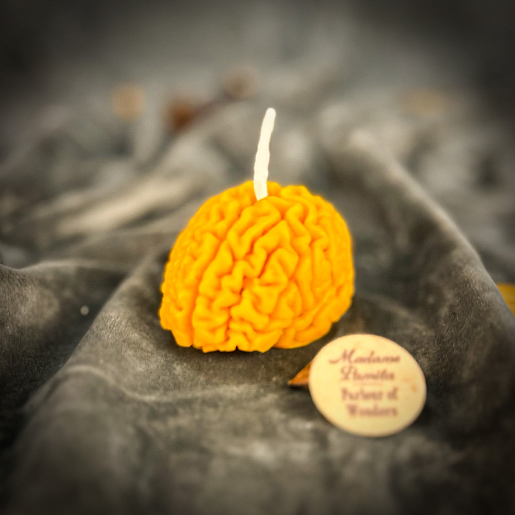 Brilliant Brain Candle Spell Kit - Mental Clarity & Focus by Parlour of Wonders